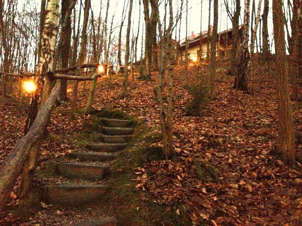 Villa Osrodek Kwaskowa Kazimierz Dolny Exterior foto