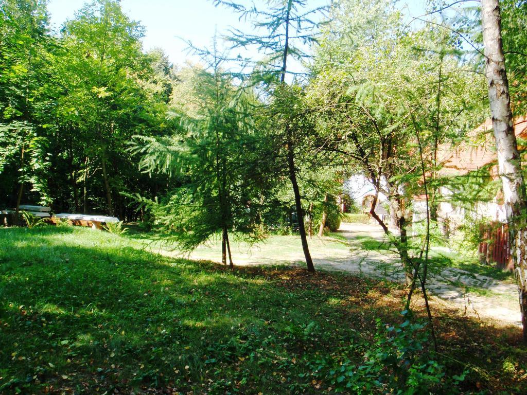 Villa Osrodek Kwaskowa Kazimierz Dolny Exterior foto