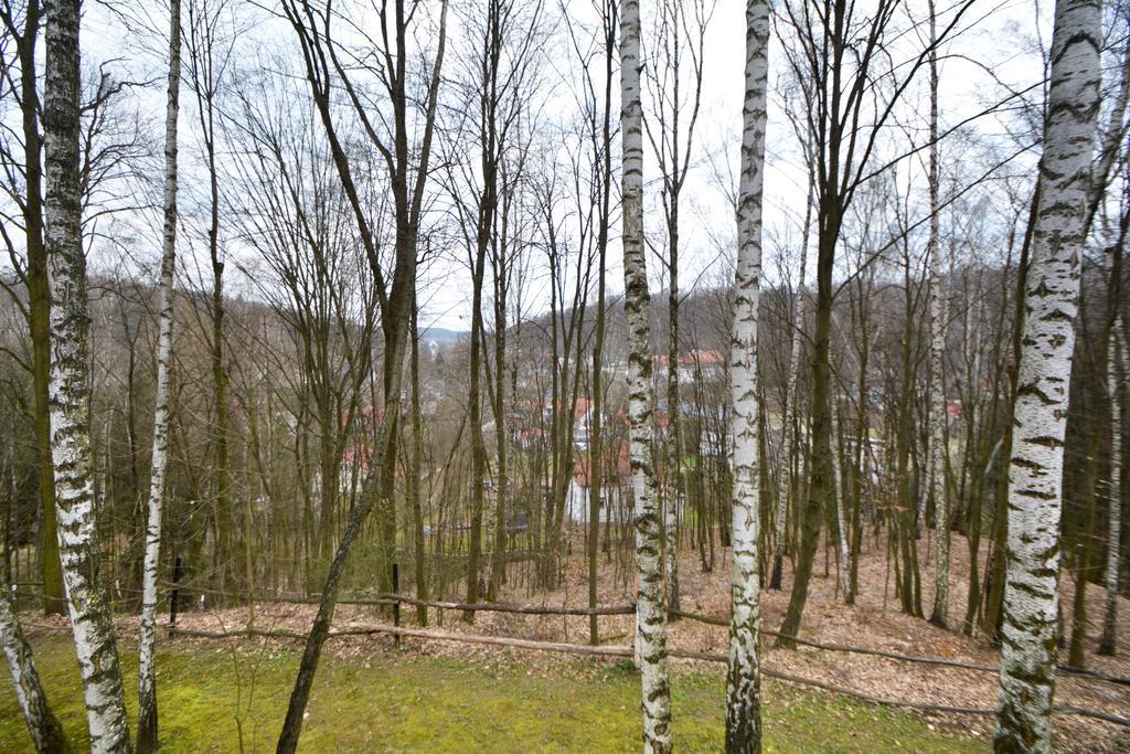 Villa Osrodek Kwaskowa Kazimierz Dolny Exterior foto